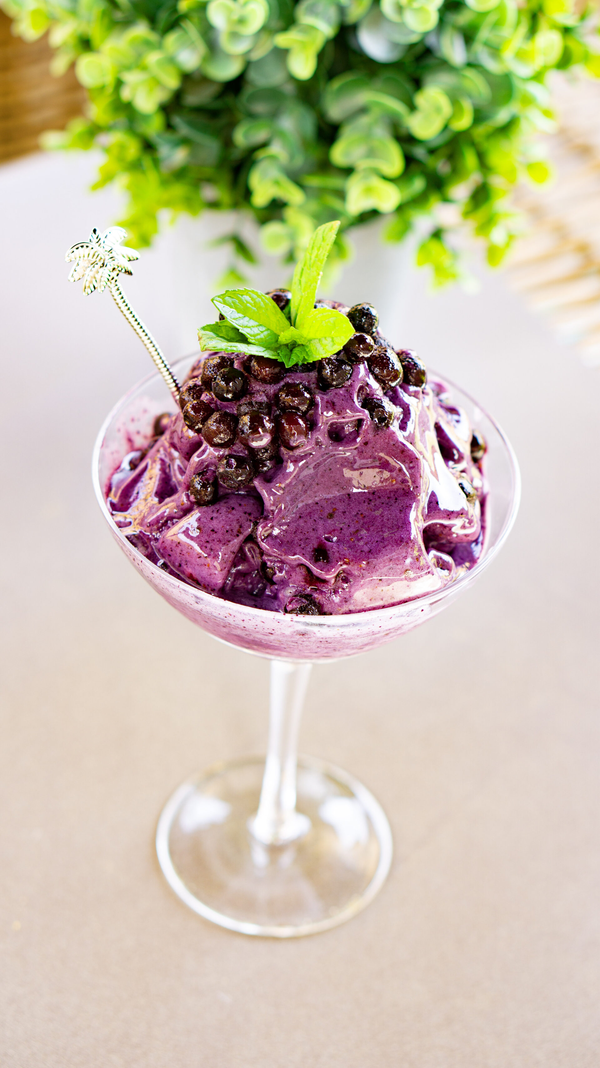 Blueberry Nice-Cream