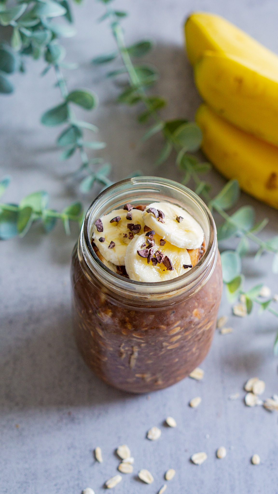 Overnight Chocolate Pudding Oats with TVP